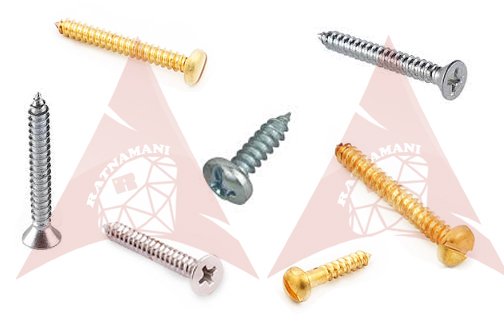 Self Tapping Screw