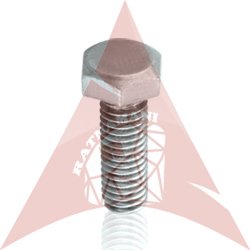 Hex Head Screw